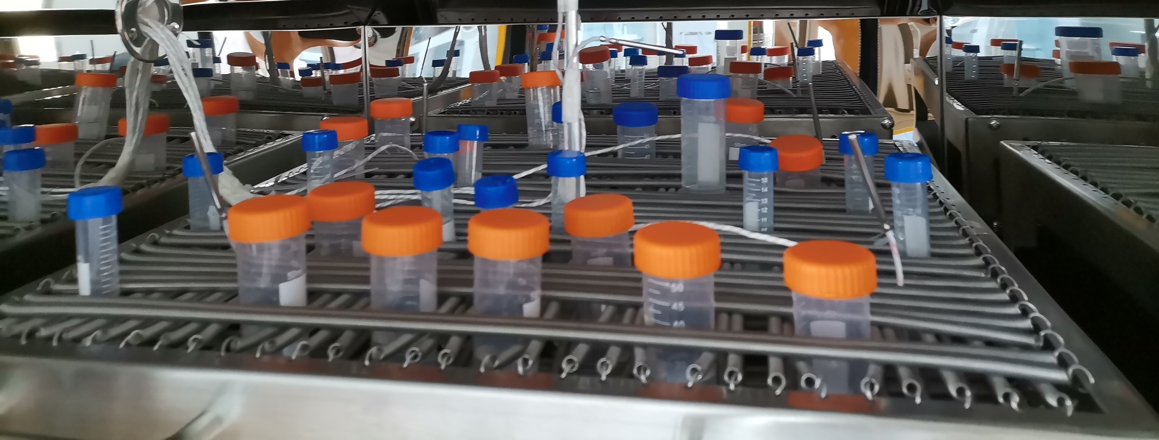 Universal Spring Flask Holder
